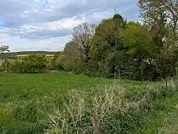 Le ruisseau de la Fontaine des Prés à Sainte-Gemme.
