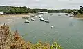 La ria du Bélon et le port de Bélon vus depuis la pointe de Porscouric à marée basse.