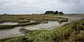 Marais maritime dans la partie sud-est de l'île de Kerner.