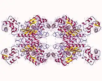 Image illustrative de l’article Glutaminase