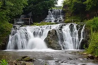 Chutes de Chervonohorod réserve naturelle