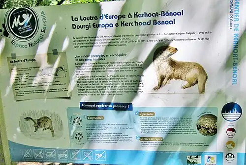 Panneau d'information touristique sur la loutre d'Europe à Kerhoat Bénoal en Guidel.