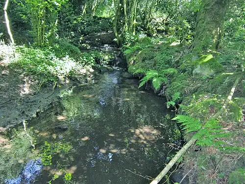 Le ruisseau de Kerhoat Bénoal peu avant sa confluence avec la Laïta ; un refuge pour la loutre d'Europe.