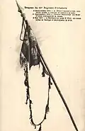 Drapeau du 66e&nbsp;régiment avec le détail des blessures.