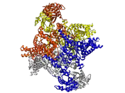 Description de cette image, également commentée ci-après
