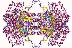 Description de cette image, également commentée ci-après