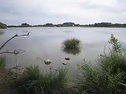 L'étang de Poulguidou vu depuis sa rive nord, côté Mahalon 3.