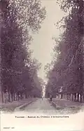Avenue du château d'Armainvilliers.