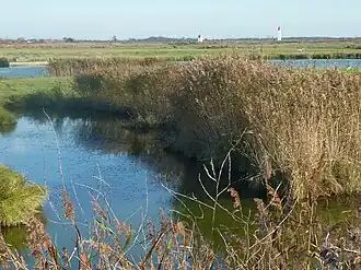 Le marais de Flandre et de la Cabane au Sud de Fouras avec les phares servant à guider les cargos pour l'entrée dans La Charente.