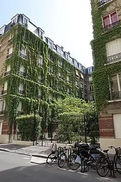 Mur végétalisé au no&nbsp;9.