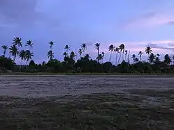 Image illustrative de l’article Aérodrome de Makin