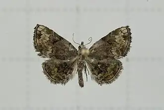 Description de cette image, également commentée ci-après