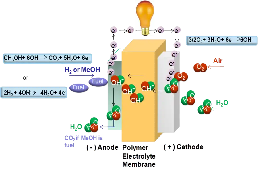 Principe d'une pile à combustible à membrane échangeuse d'anions.