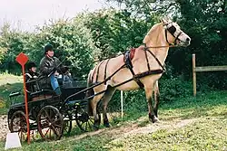 Char Marathon attelé à un cheval