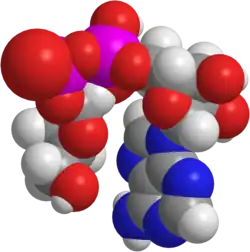 Image illustrative de l’article Adénosine diphosphate ribose