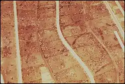 Vue aérienne d'un important feed lots.