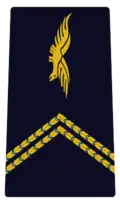 Aspirant, élève officier de première année à l'École de l'air et de l'espace.