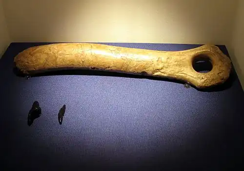 Magdalénien -Musée archéologique de Constance&nbsp;(de) (Allemagne)