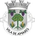 Blason de Amares