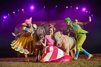 Shetlands de la troupe européenne Apassionata.