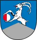 Blason de Neukirchen am Großvenediger