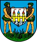 Blason de Schwechat