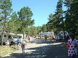 Végétation plus clairsemée à environ 1,5&nbsp;km du chalet Reynard. Pins à crochets.