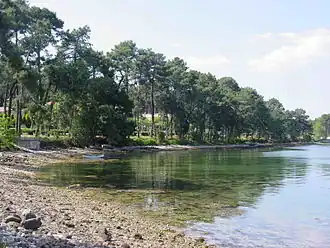 île de A Toxa