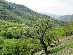Paysage du massif.