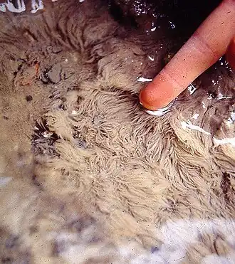 Description de cette image, également commentée ci-après