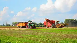 Vue panoramique de l'ancien village d'Aalbeke.