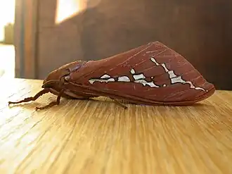 Description de cette image, également commentée ci-après