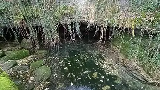 La source de la Doue.