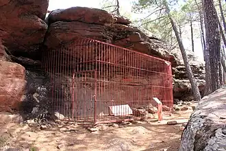 Image illustrative de l’article Abri de los Cazadores del Navazo