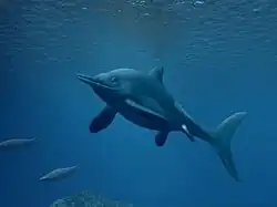 Vue d'artiste d'un reptile marin préhistorique semblable à un dauphin au sein d'un environnement aquatique.