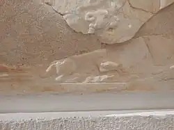 Queue, pattes et tête de lionceau.