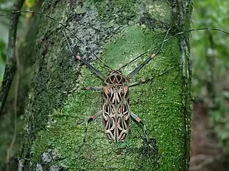Description de cette image, également commentée ci-après