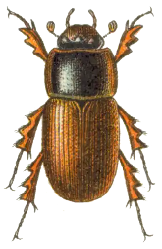 Description de cette image, également commentée ci-après