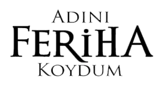 Image illustrative de l’article Adını Feriha Koydum