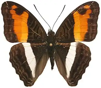 Description de cette image, également commentée ci-après