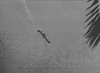 Le vol 498 d'Aeroméxico plongeant vers le sol, juste après la collision, près de Los Angeles.