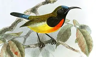 Description de cette image, également commentée ci-après