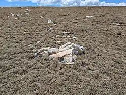 Le quartz apparaît également à la surface à certains endroits.