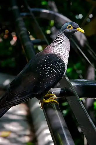 Description de cette image, également commentée ci-après
