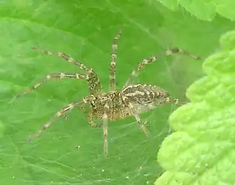 Description de cette image, également commentée ci-après