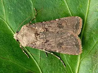 Description de cette image, également commentée ci-après