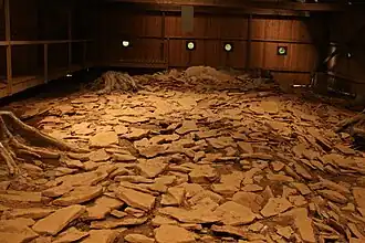 Vue ouest : le dallage ou podium.