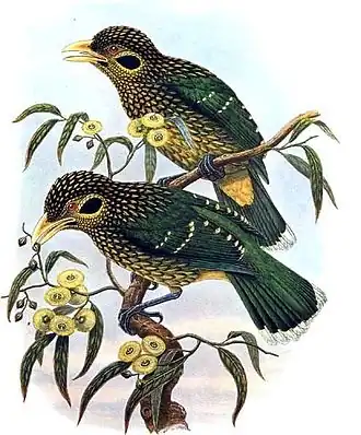 Description de cette image, également commentée ci-après