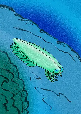 Description de cette image, également commentée ci-après