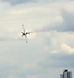 Birmingham (Royaume-Uni), le 29 juillet 2007.